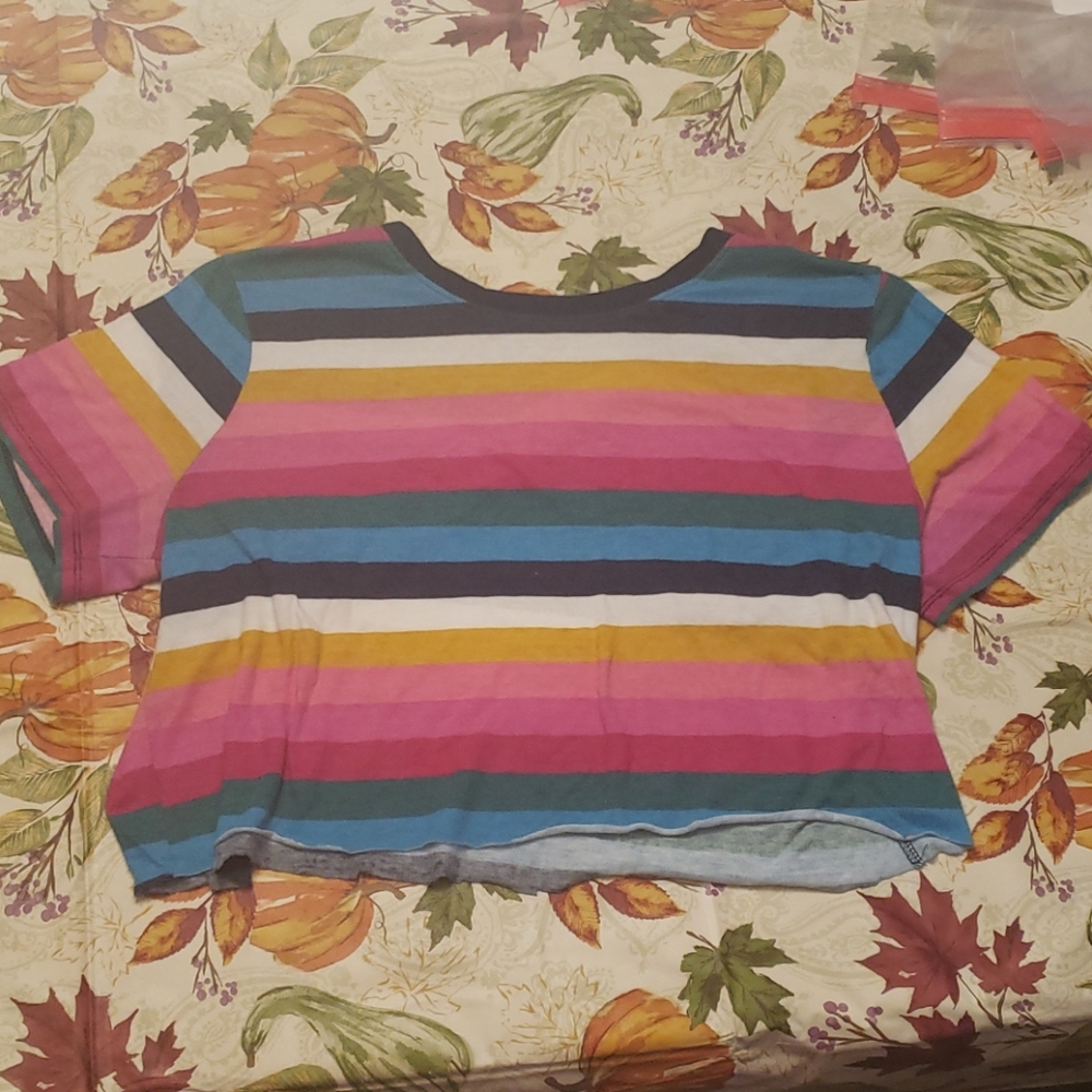 Multicolor striped cropped t-shirt